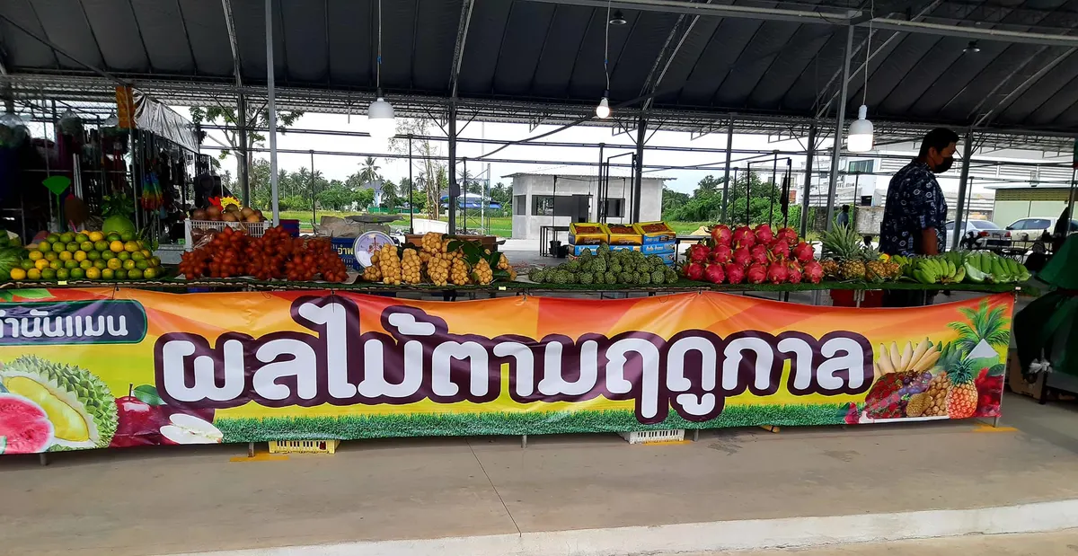 ภาพ ตลาดพรีเมี่ยม ไร่ขิง18