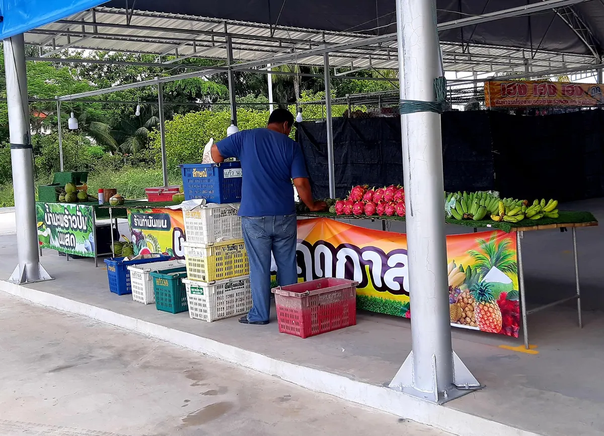 ภาพ ตลาดพรีเมี่ยม ไร่ขิง18
