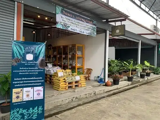 ตลาดแสงอารีการ์เด้น