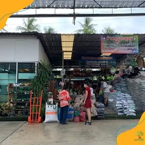 ตลาดแสงอารีการ์เด้น