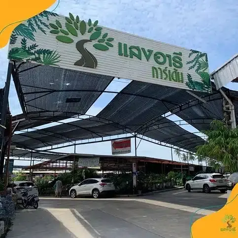 ตลาดแสงอารีการ์เด้นแสงอารีการ์เด้น18_3131809317038931_7076681422110879924_n