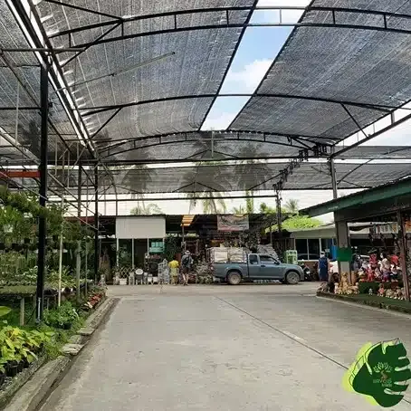 ตลาดแสงอารีการ์เด้น
