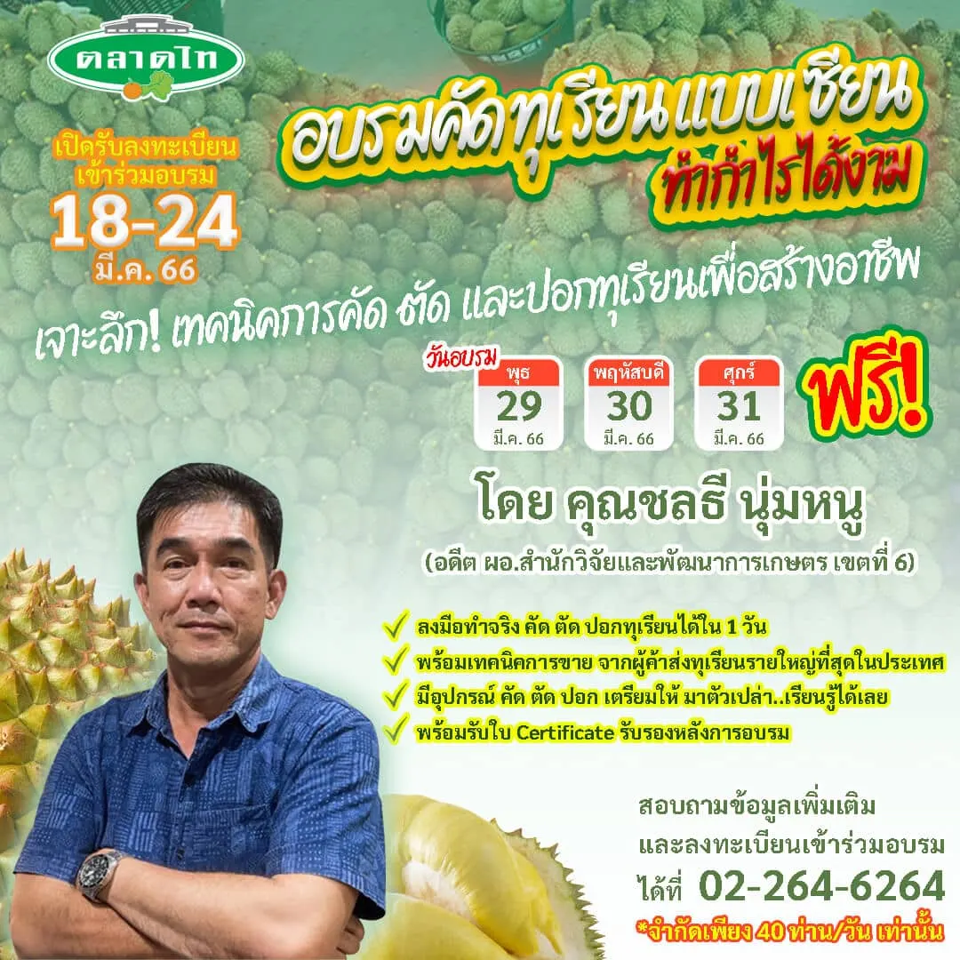 อบรมคัดทุเรียนแบบเซียนที่ตลาดไท ฟรี !!