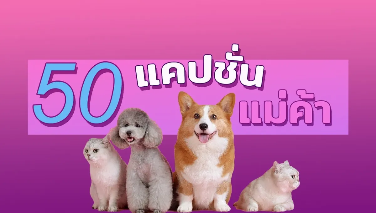 รวมแคปชั่นแม่ค้าเด็ด ๆ