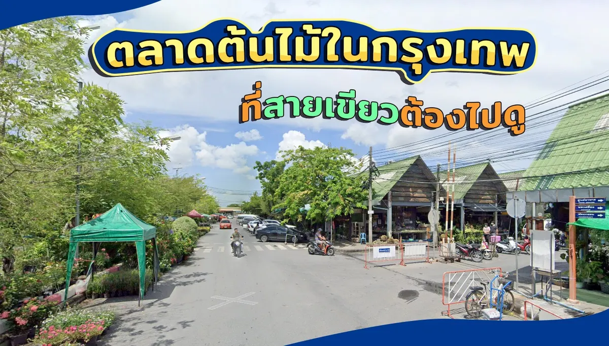 9 ตลาดต้นไม้ในกรุงเทพที่สายเขียวต้องไปดู