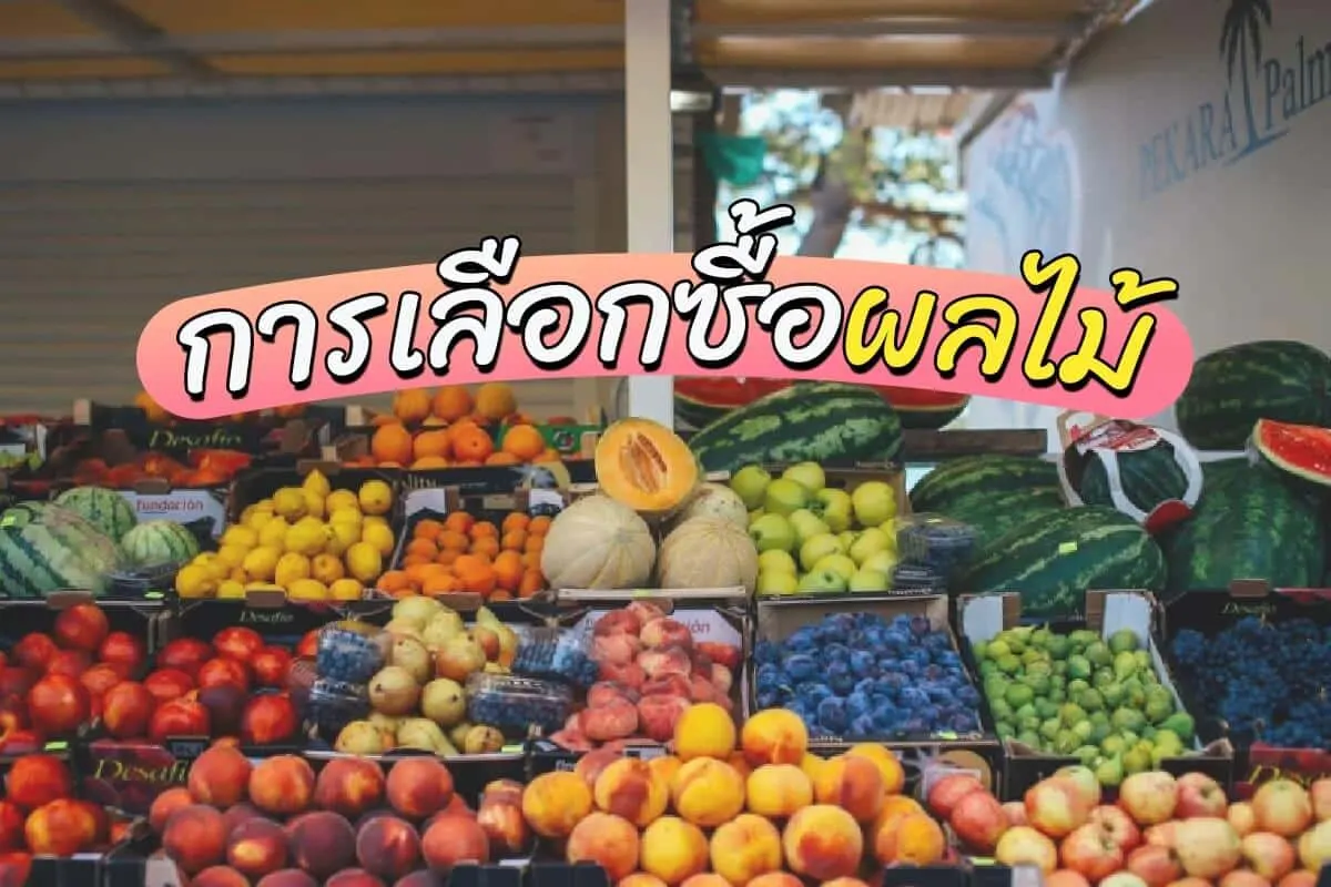 วิธีเลือกซื้อผลไม้ต่างๆ