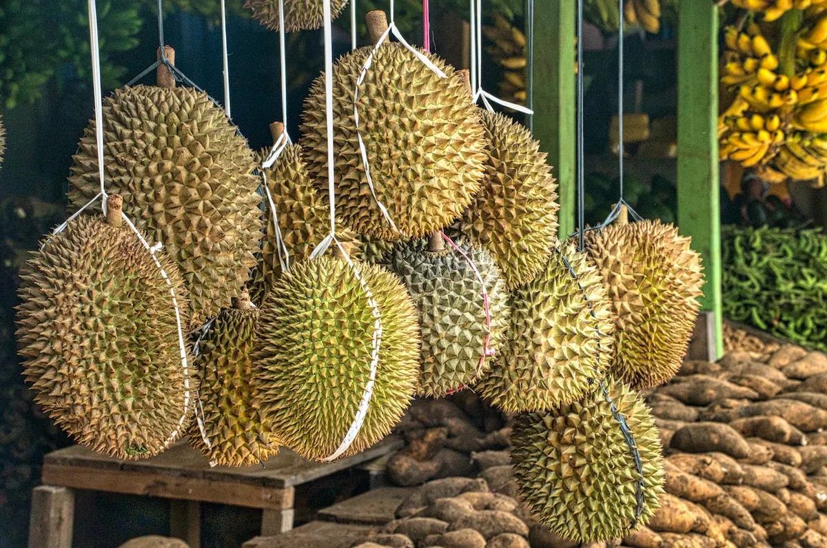 ทุเรียน