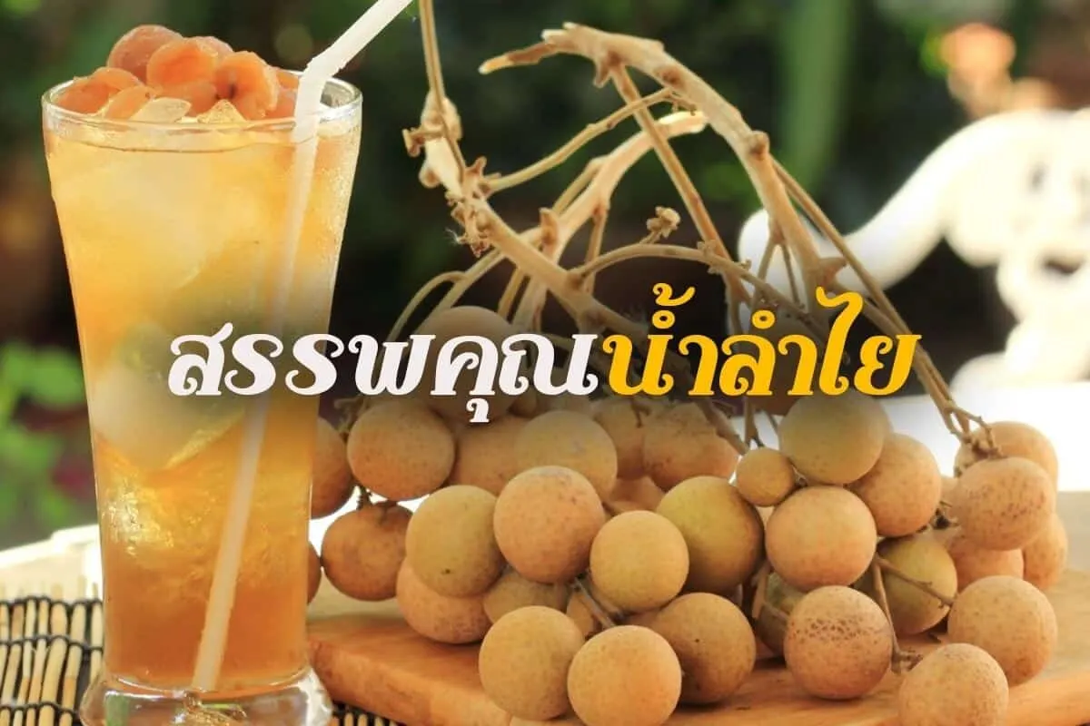 สรรพคุณน้ำลำไย
