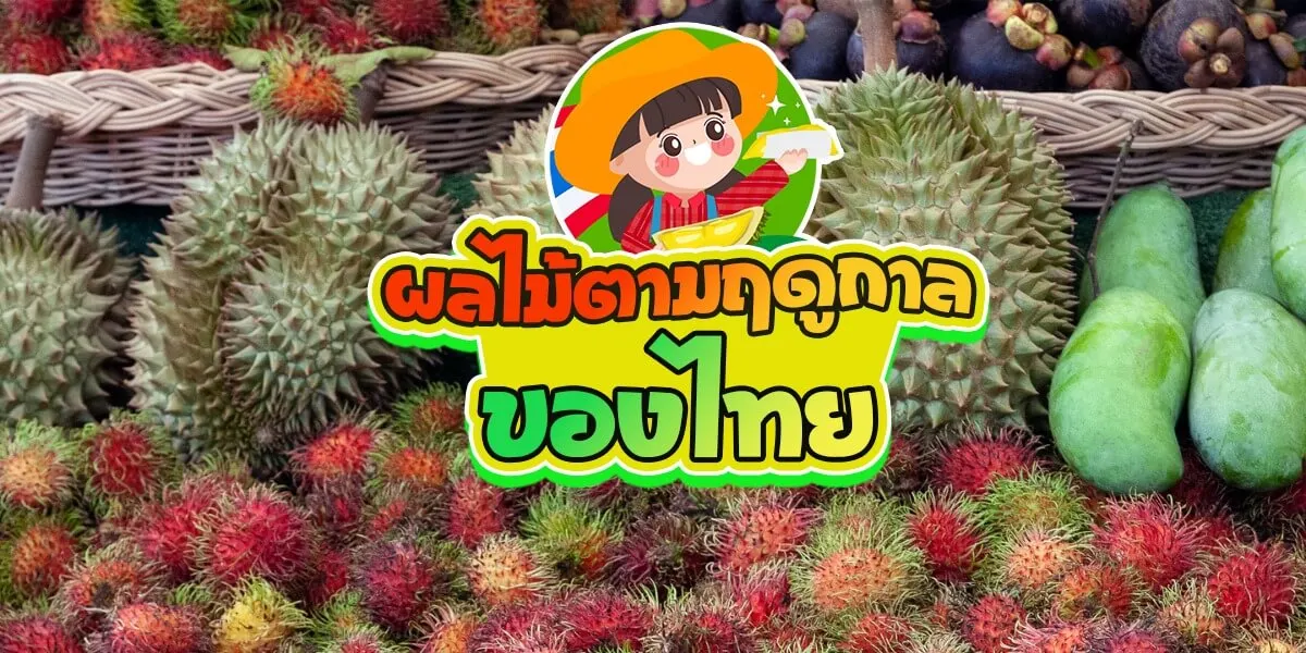 ผลไม้ตามฤดูกาลของไทย มีอะไร ออกเดือนไหน