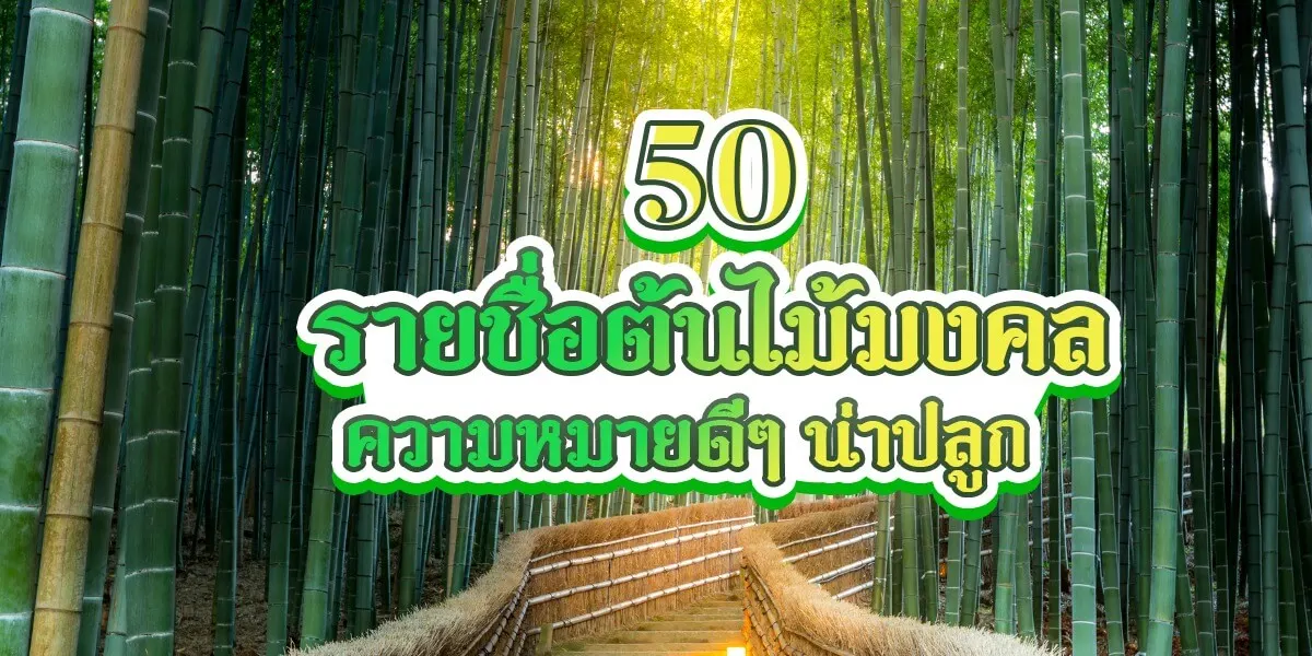 รายชื่อต้นไม้มงคล 50 ชื่อความหมายดีๆน่าปลูก