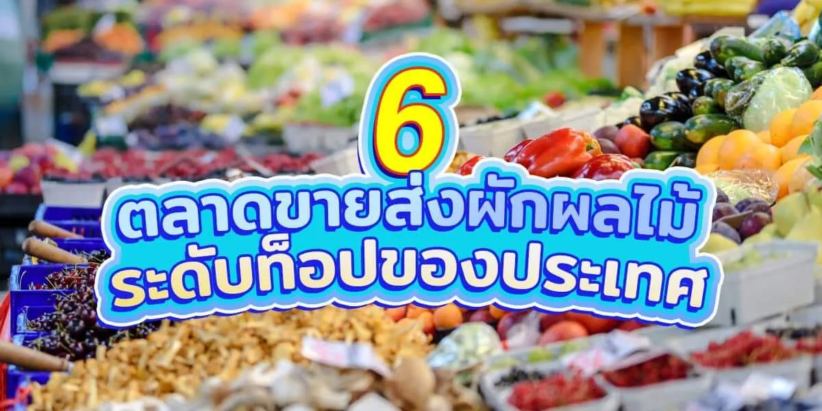 6 ตลาดขายส่งผลไม้และผักระดับท็อปของประเทศ
