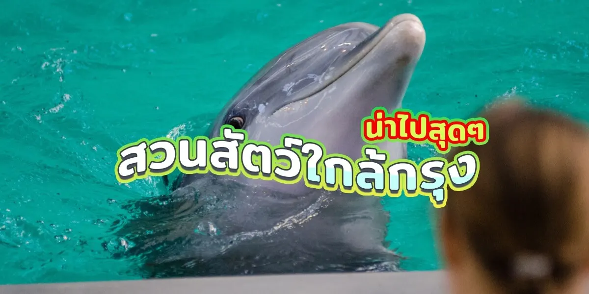 9 สวนสัตว์ใกล้กรุงเทพเด็ดๆ น่าไปเที่ยว