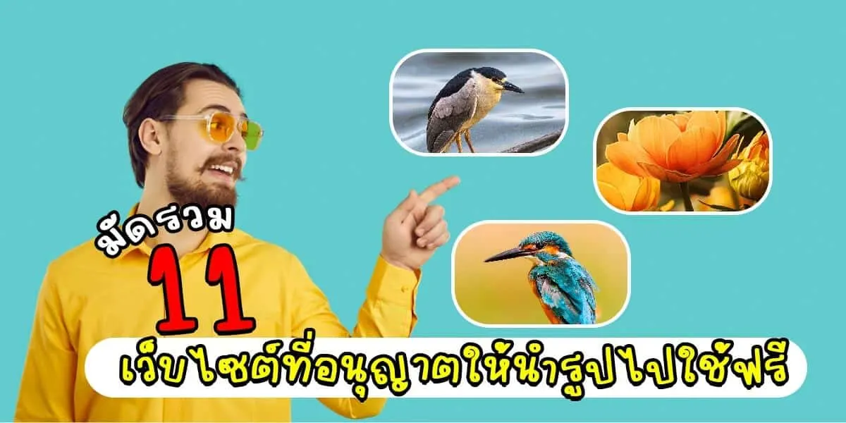 รวม 11 เว็บไซต์ที่อนุญาตให้นำรูปไปใช้ฟรี