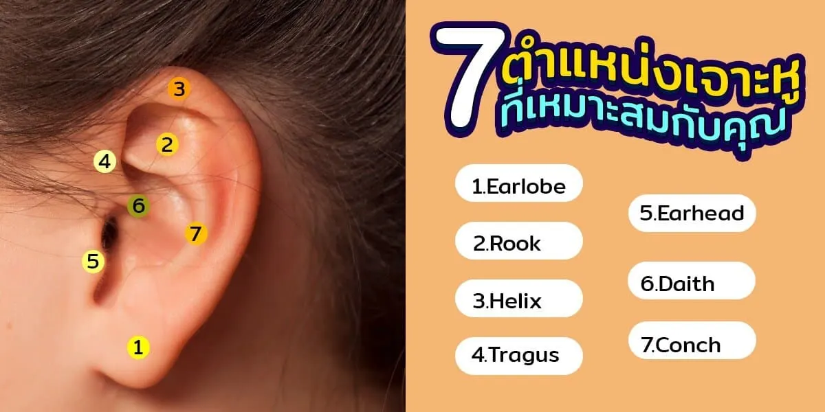 แนะนำ 7 ตำแหน่งเจาะหู