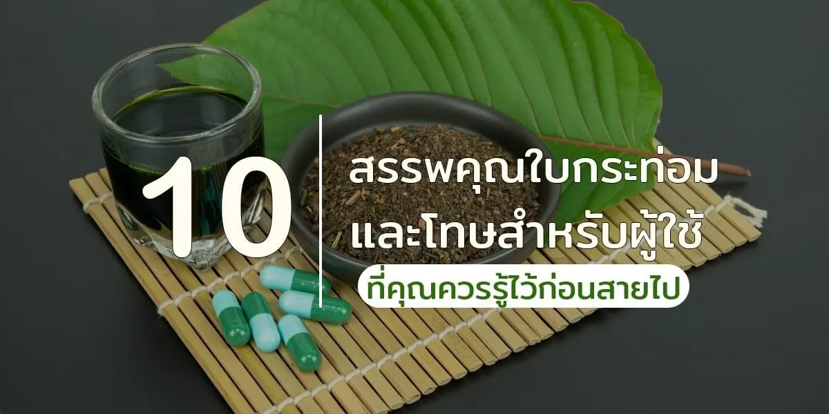 แนะนำ 10 สรรพคุณใบกระท่อมและโทษ