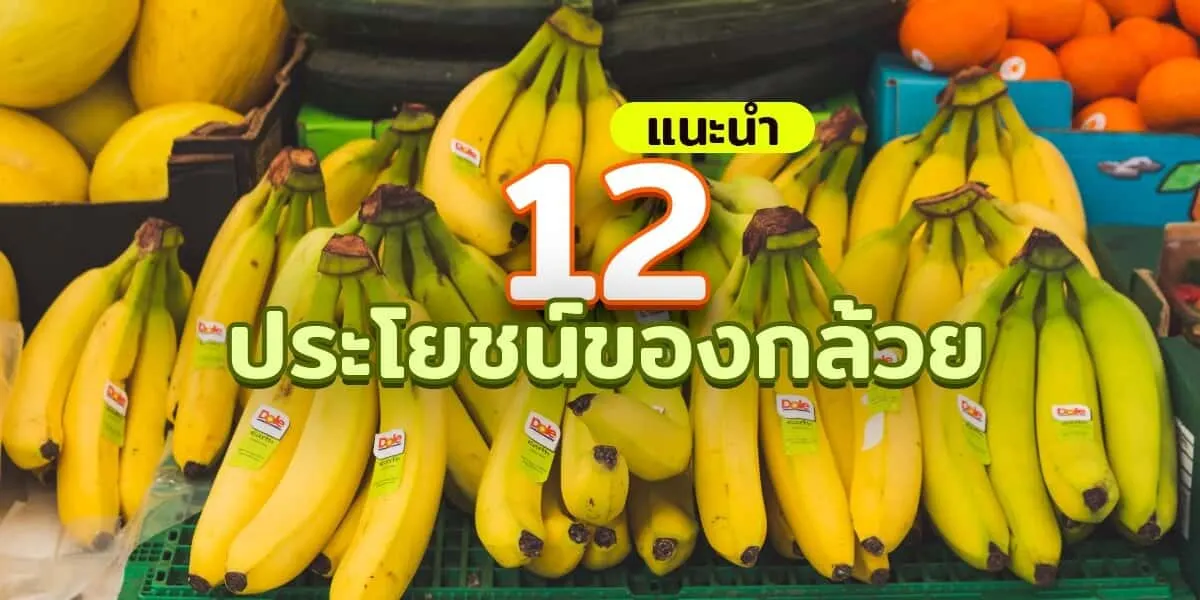 แนะนำ 12 ประโยชน์ของกล้วย สายสุขภาพห้ามพลาด