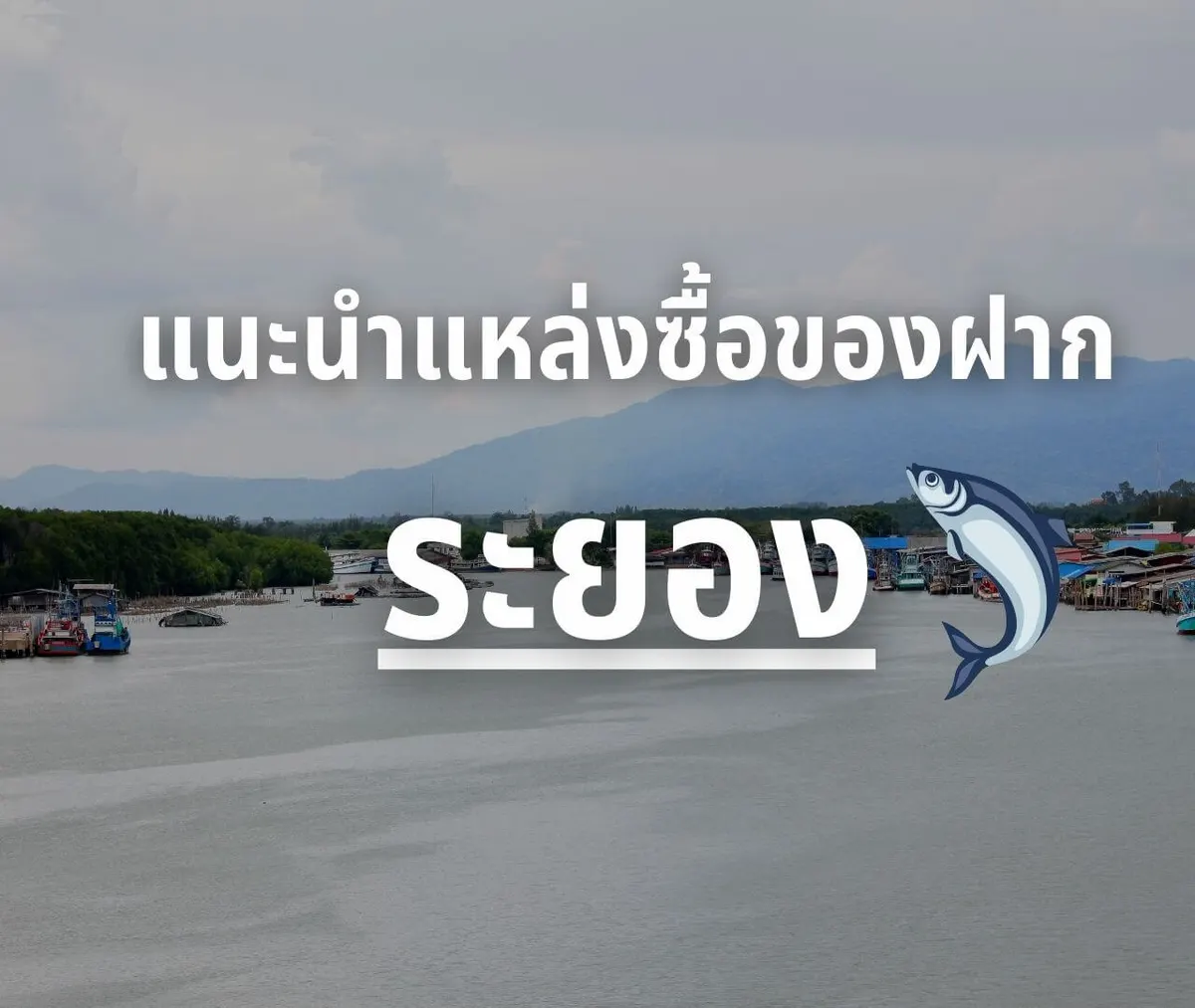 ของฝากระยอง