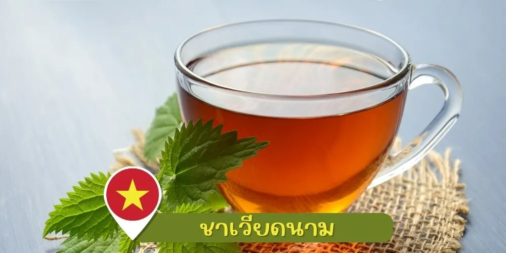 ของฝากชาเวียดนาม