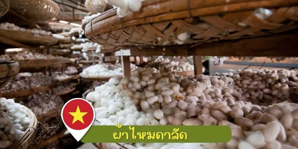 ของฝากผ้าไหมดาลัด