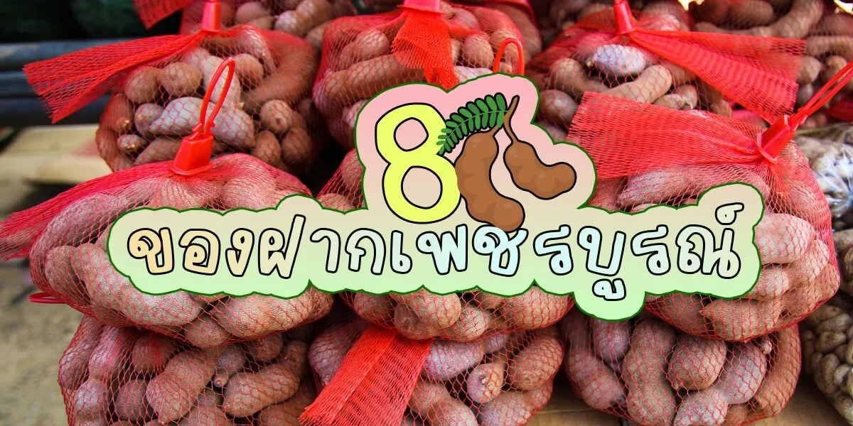 แนะนำ 8 ของฝากเพชรบูรณ์ ที่ใครไปห้ามพลาด
