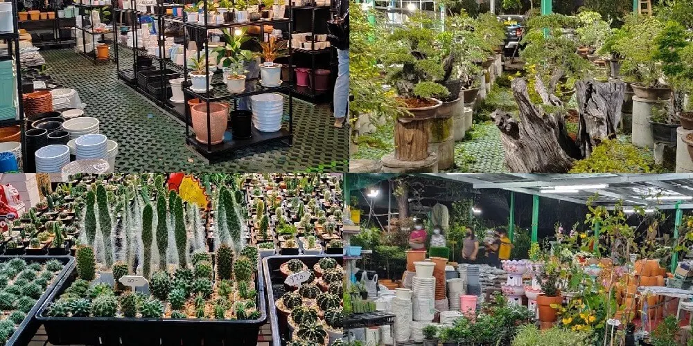 โซนต้นไม้ ตลาดนินจาอมตะ