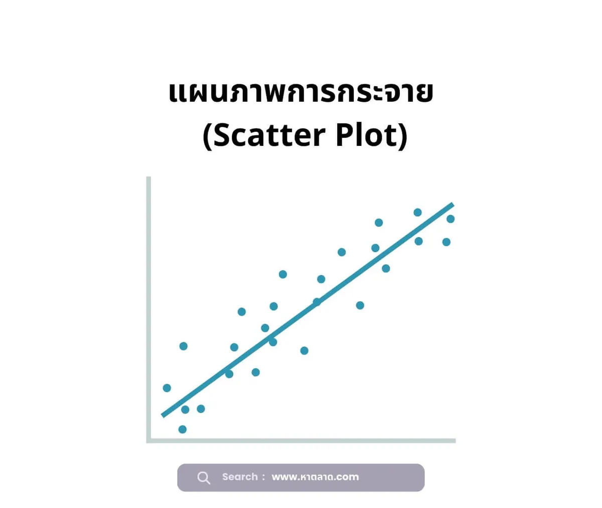 แผนภาพการกระจาย (Scatter Plot):