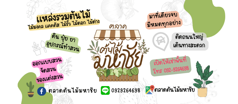 ตลาดต้นไม้มหาชัย